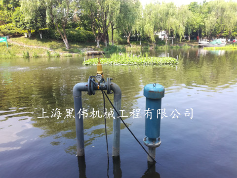 河道治理沉水式鼓風(fēng)機(jī) 河道治理沉水式鼓風(fēng)機(jī)